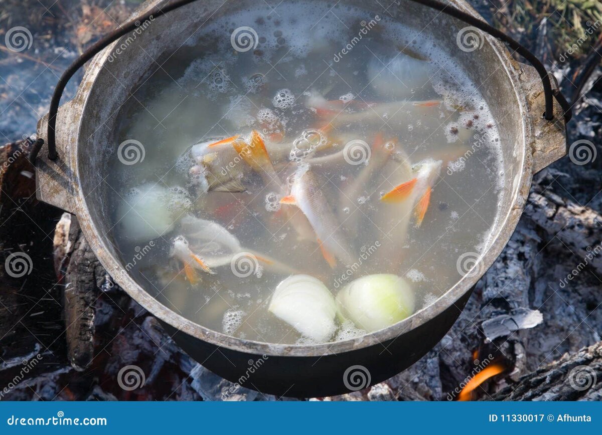    Секрет сазаньей ухи, который знали только рыбаки