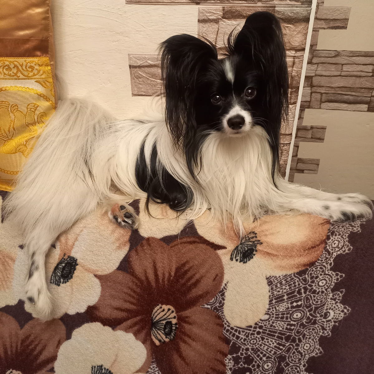 И как мы с Мурром без него жили?!