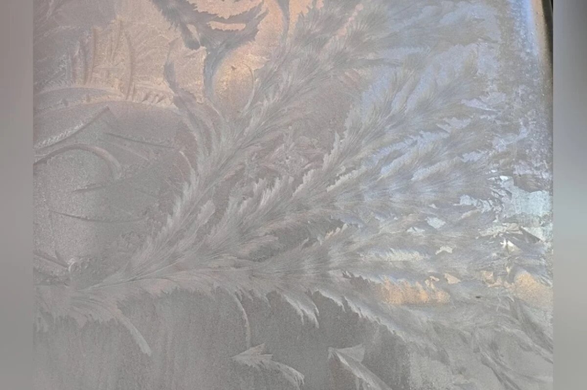    В Волгограде специалисты огласили требования к условиям работы в холоде