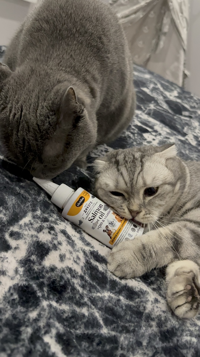 Боня и Нюша обожают просто это масло