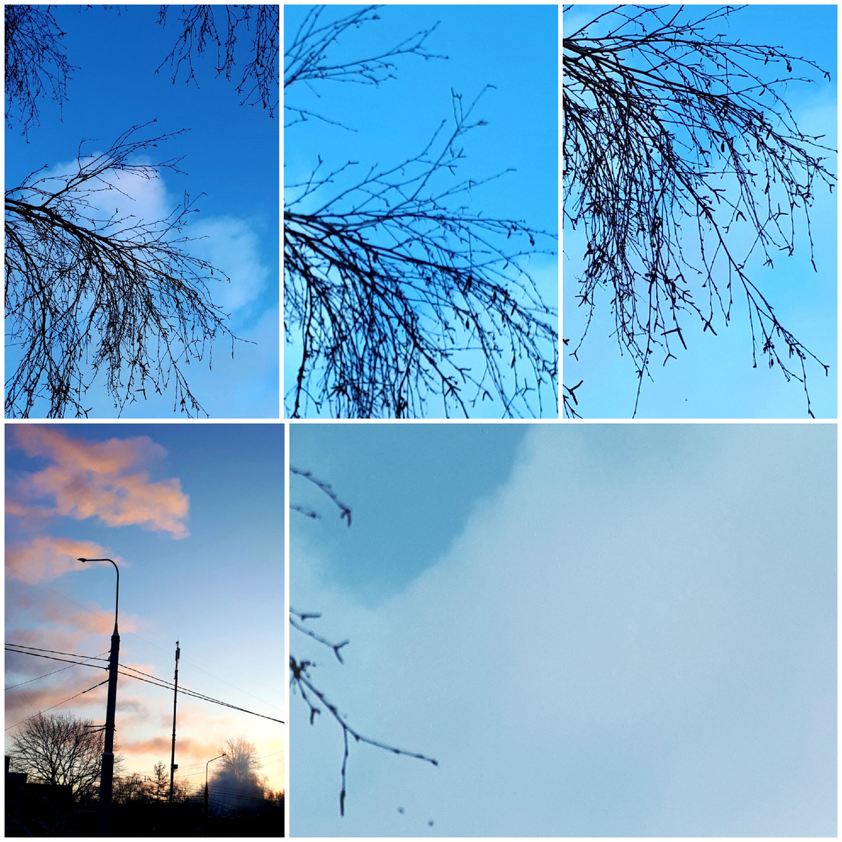 Коллаж автора 04.02.2026г.