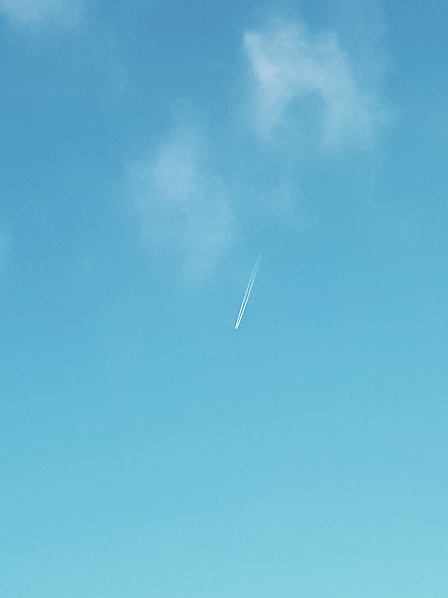 Фото автора 04.02.2026г