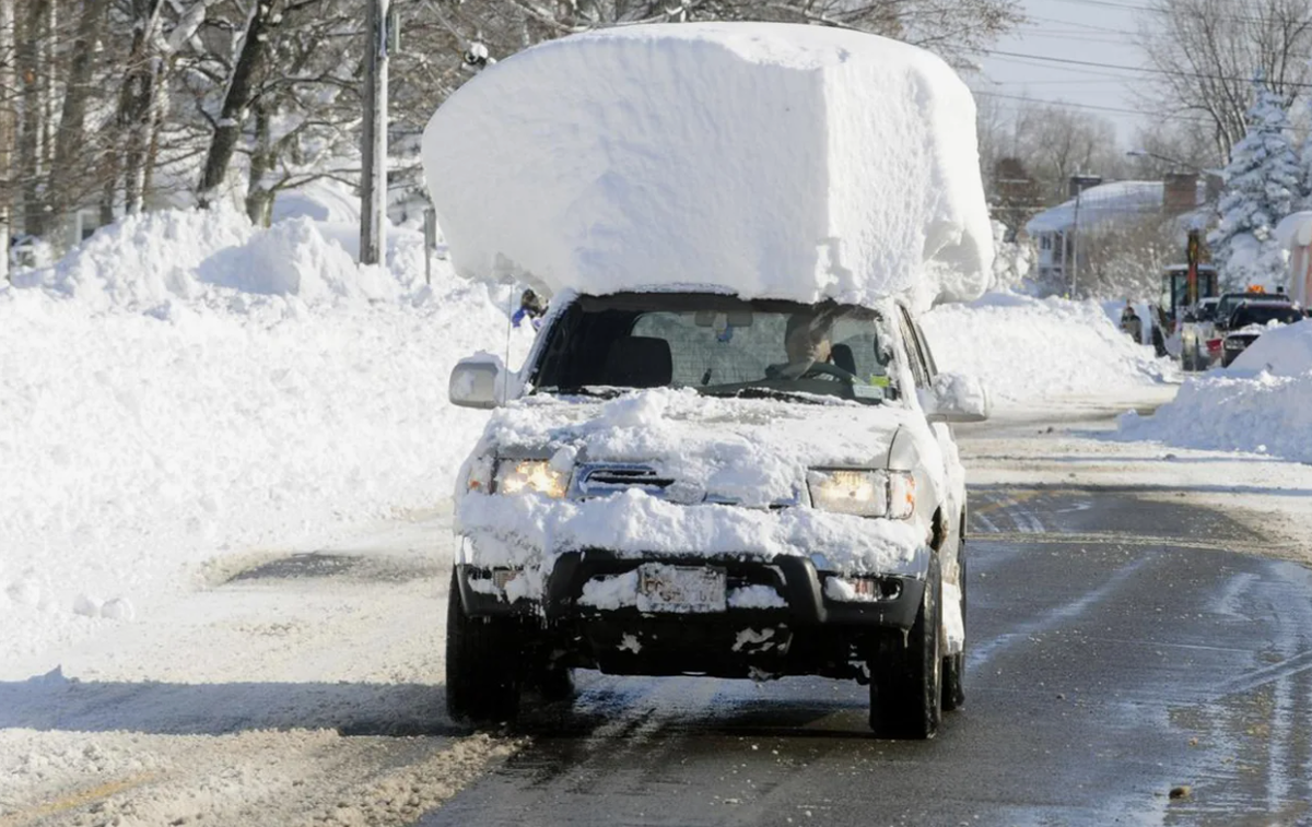 фото из открытых источников