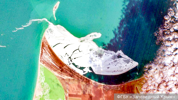     Фото: ФГБУ «Заповедный Крым»   
 Текст: Ольга Иванова