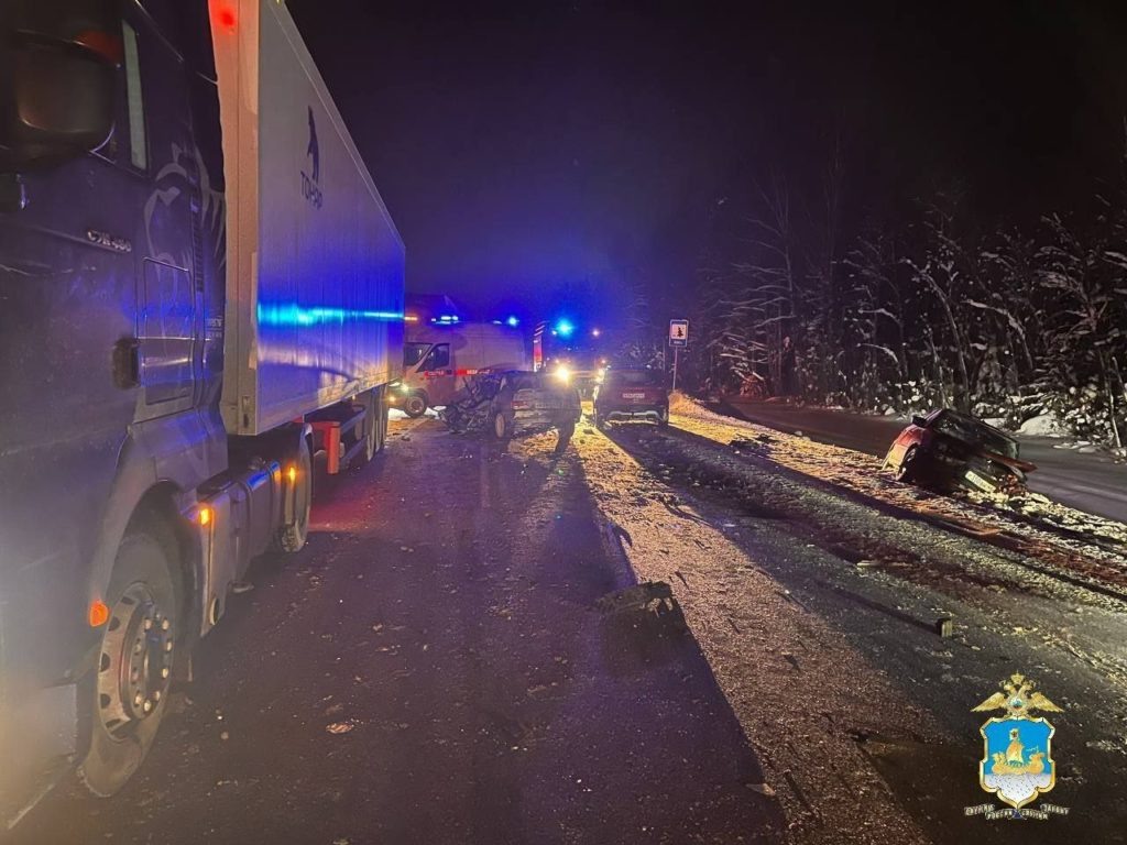    ФОТО: УМВД России по Костромской области