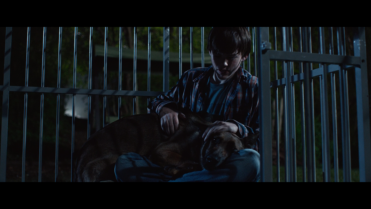 Кадр из фильма Макс (2015)