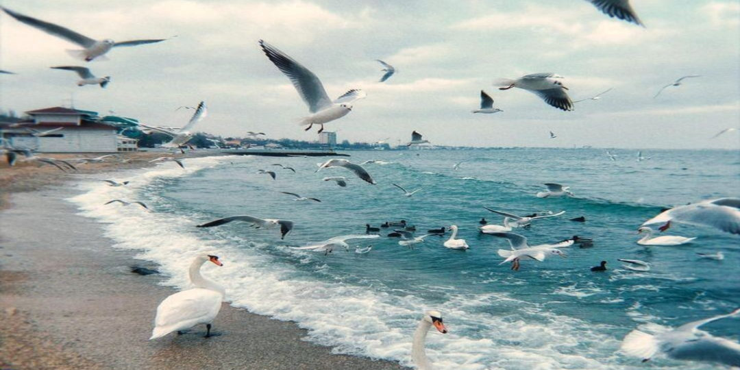 Мальчик на берегу.