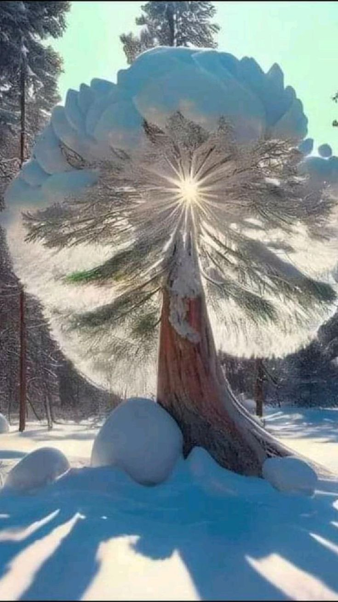 Изображение: ru.pinterest.com