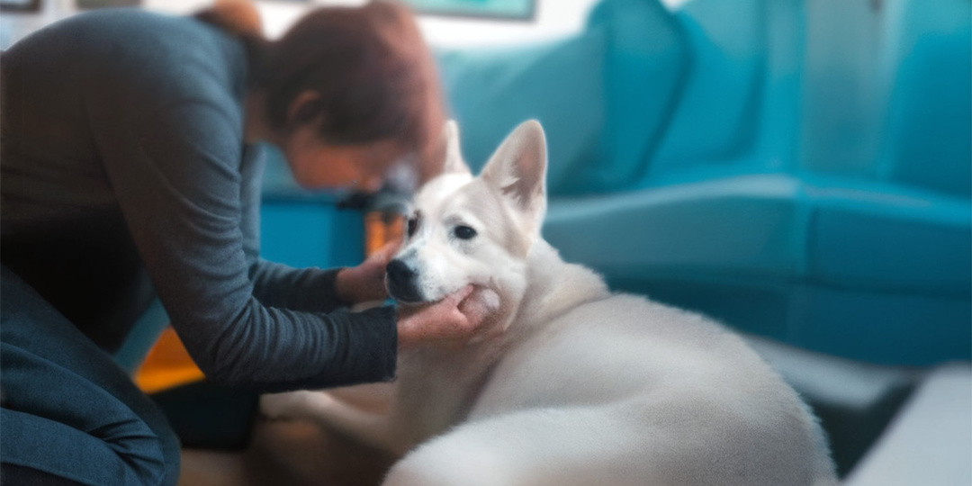 Подожди меня