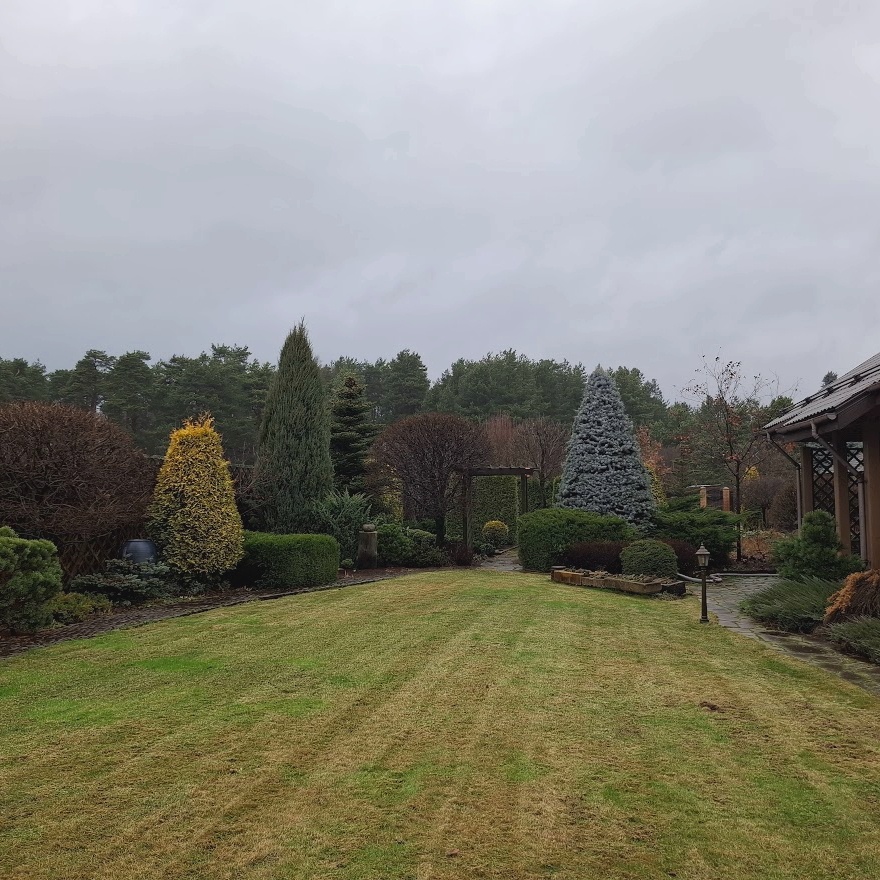 Снег быстро растаял