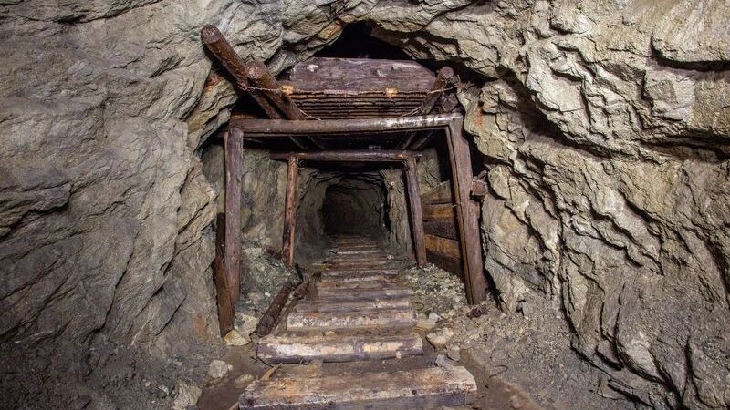    Фото: Mishainik/Shutterstock/Fotodom