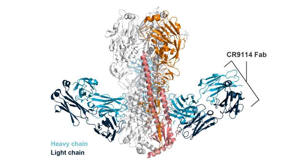   Beukenhorst et al. / Science Translational Medicine, 2026