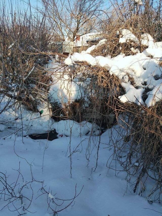    Зачем-то это фото разместил министр Левин