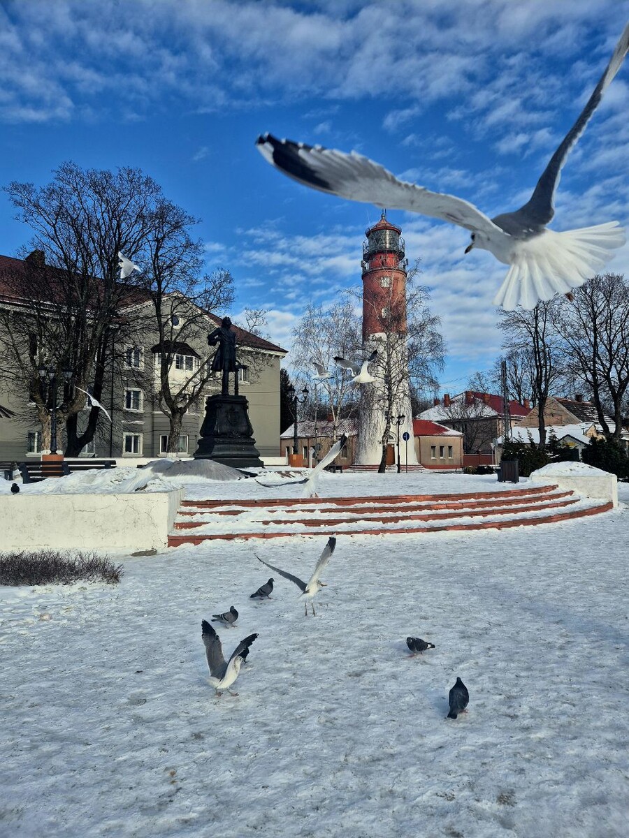 Рядом памятник Петру l.