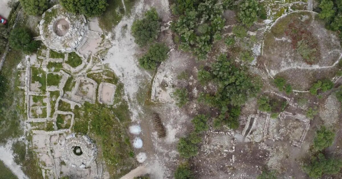    Фото: naked-science.ru Дмитрий Смирнов