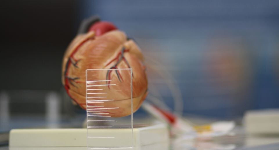    медиасток.рф