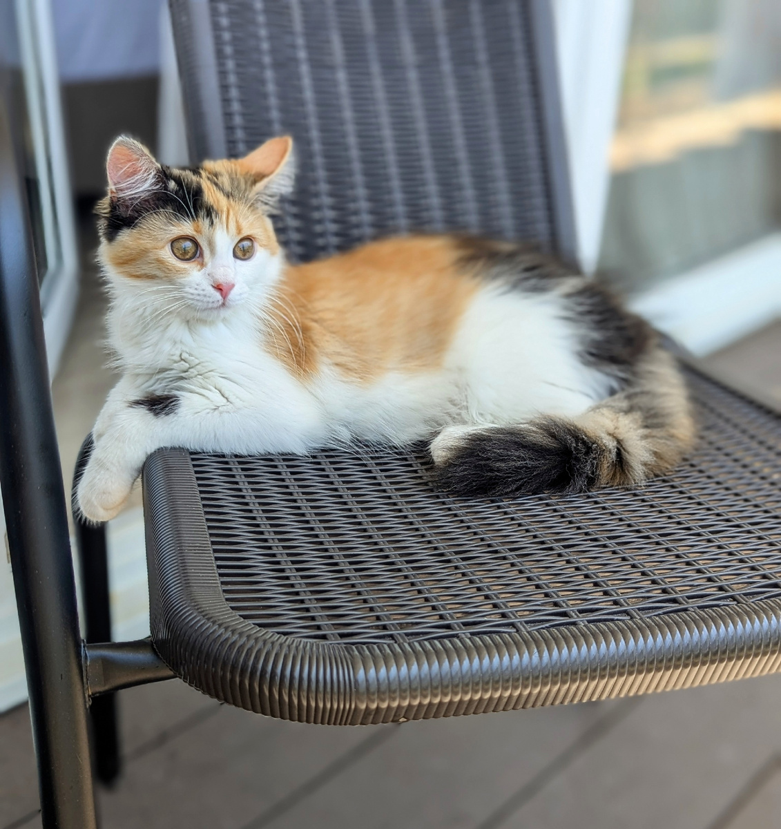 Маленькая Валентина созерцает вид на территорию базы отдыха и морские волны