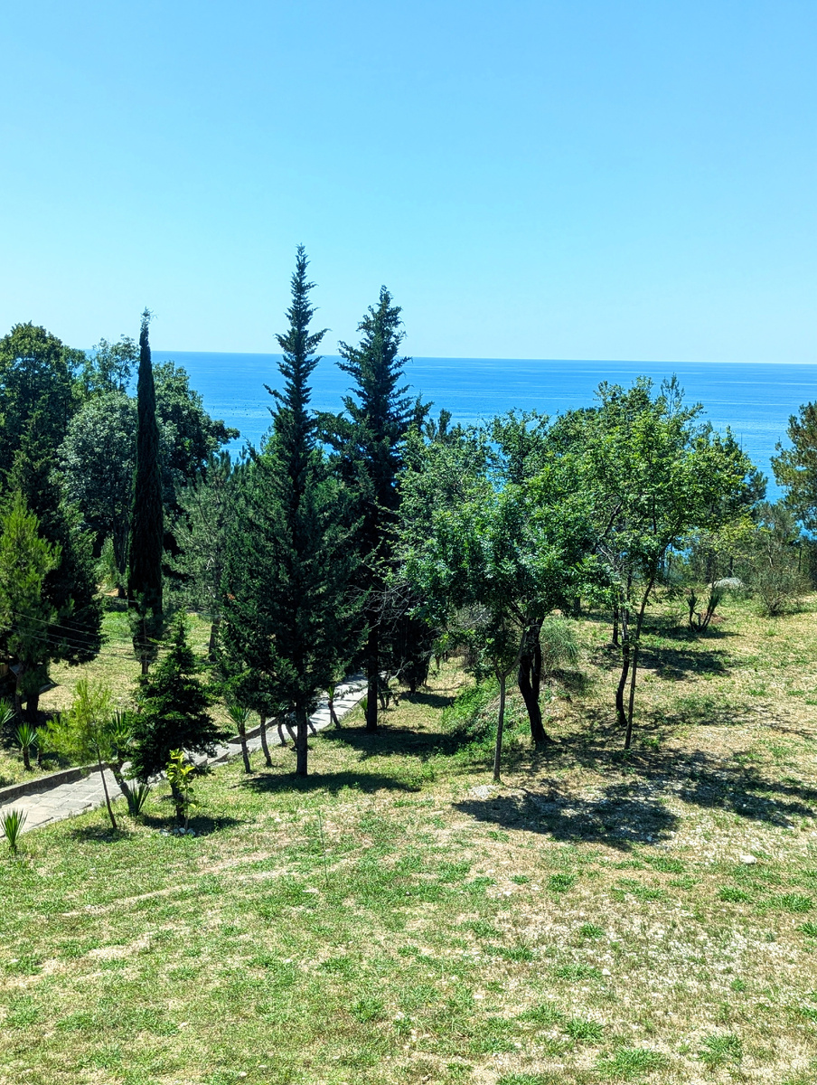 Вид из номера