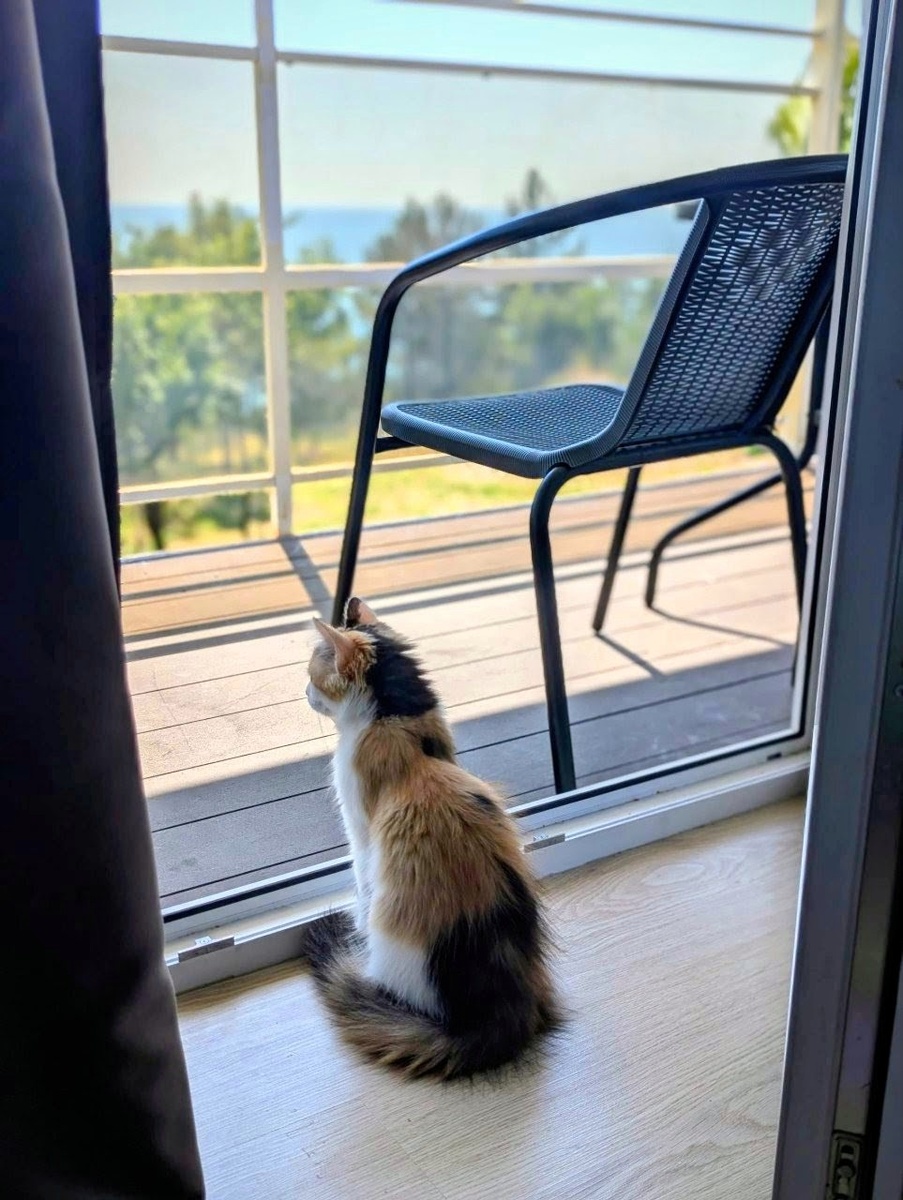 Панорманый вид из номера