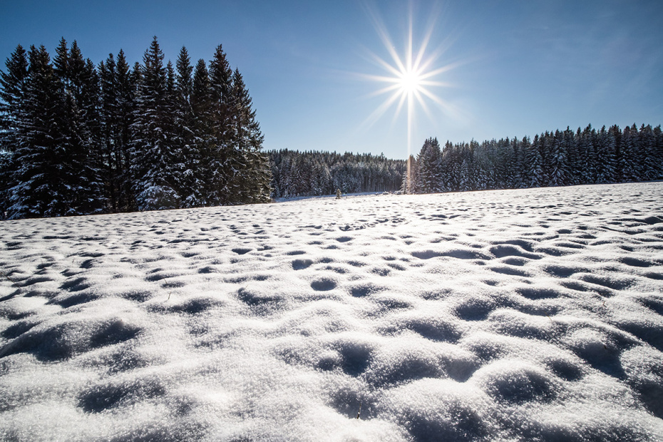    Shutterstock/FOTODOM