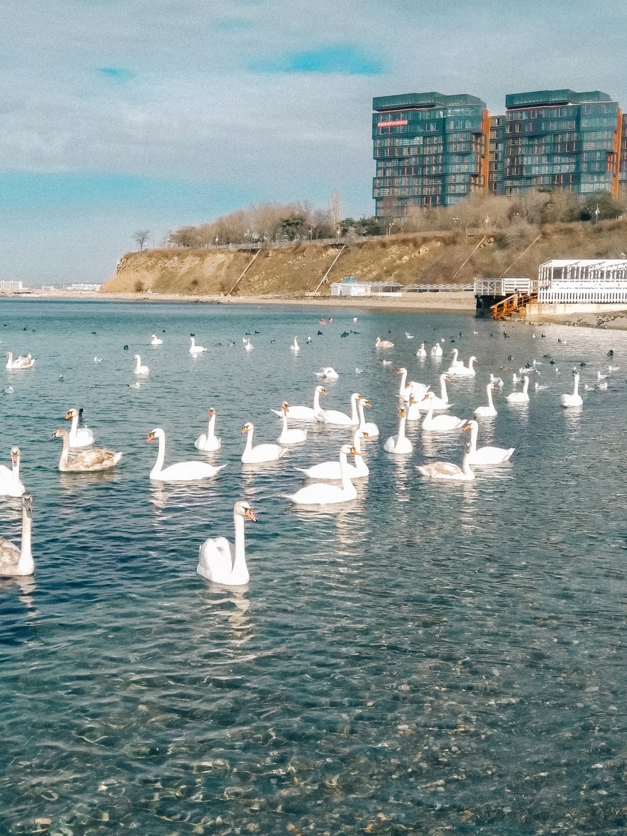 31.01.2026 г. Пляж высокий берег"