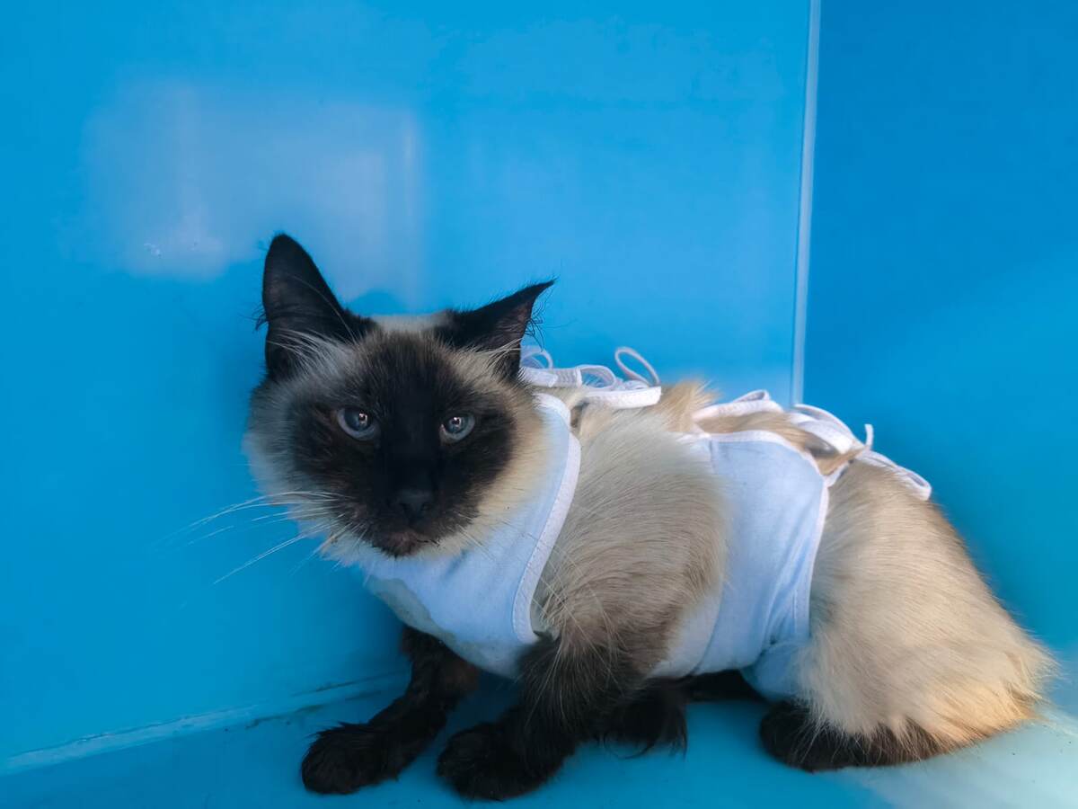 Наоми боец и смогла выкарабкаться