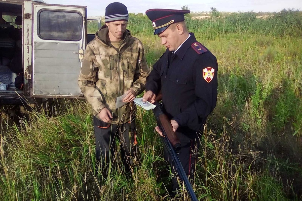 Тот самый момент, когда аргументы кончились, а протокол уже начался. Прощай, оружие?