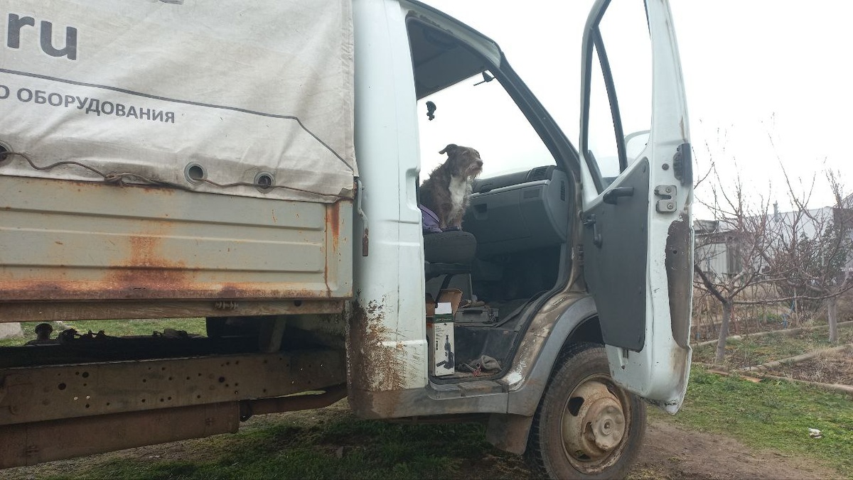 Дома не сидит, сразу вой поднимает, чтобы с собой взяли. А на улице холодно, просится в кабину. Так и сидит часами, пока мы в машине ковыряемся.