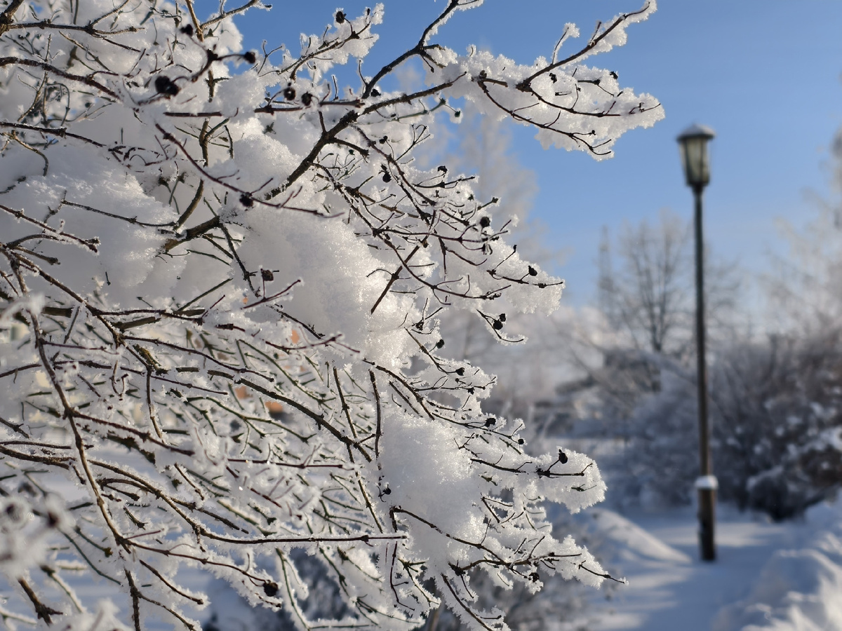 Зима в городе 