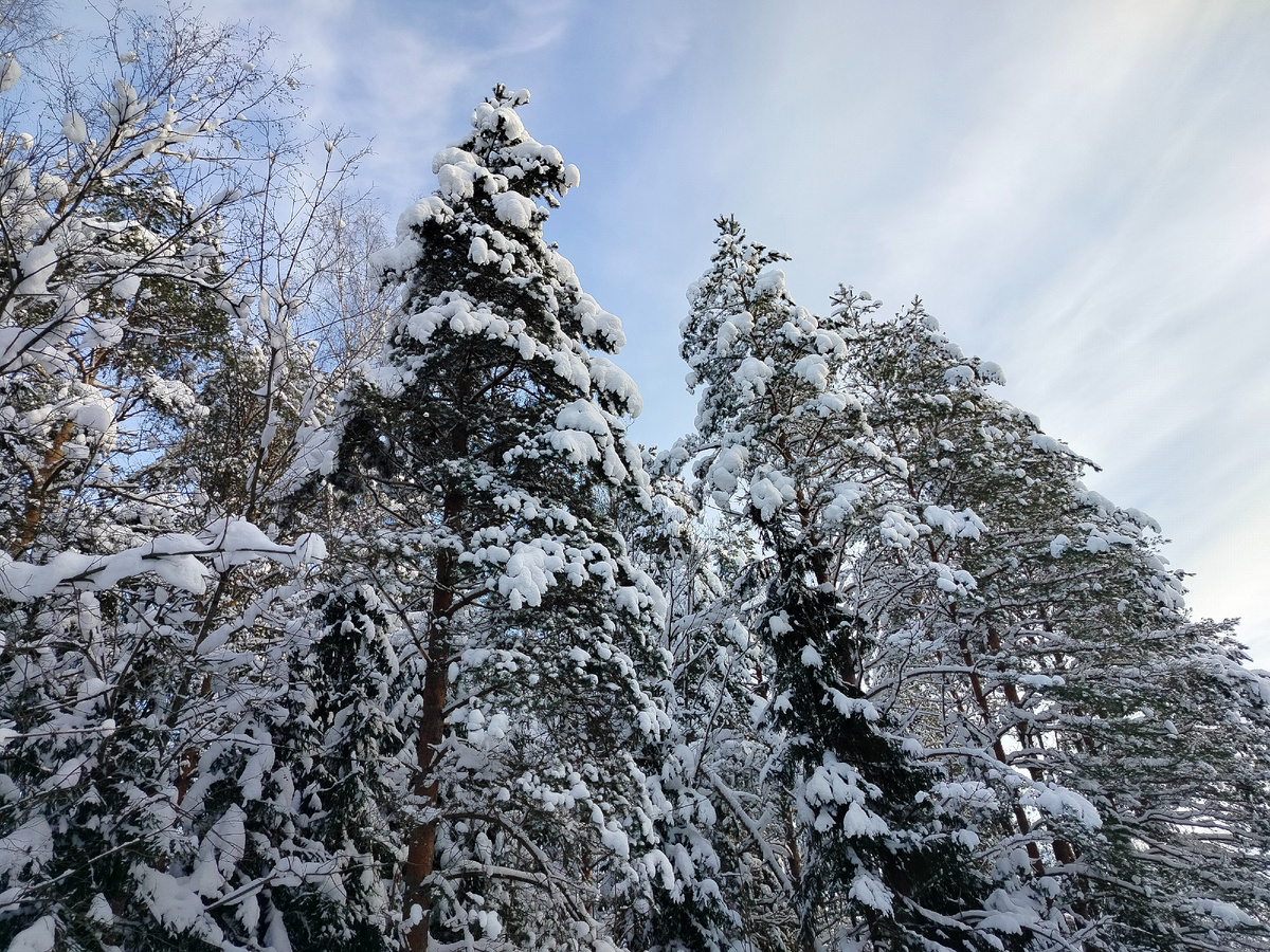 По дороге домой