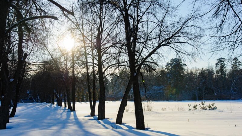     Снег. Зима в Барнауле. Сугробы. Мороз. Дендрарий Дмитрий Лямзин
