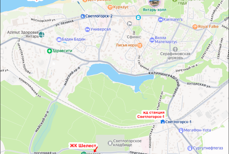 Как в Светлогорске используют мечту о квартире у моря