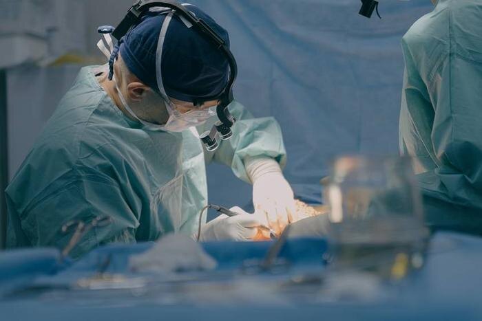 Обложка © Shutterstock / FOTODOM / MAYA LAB