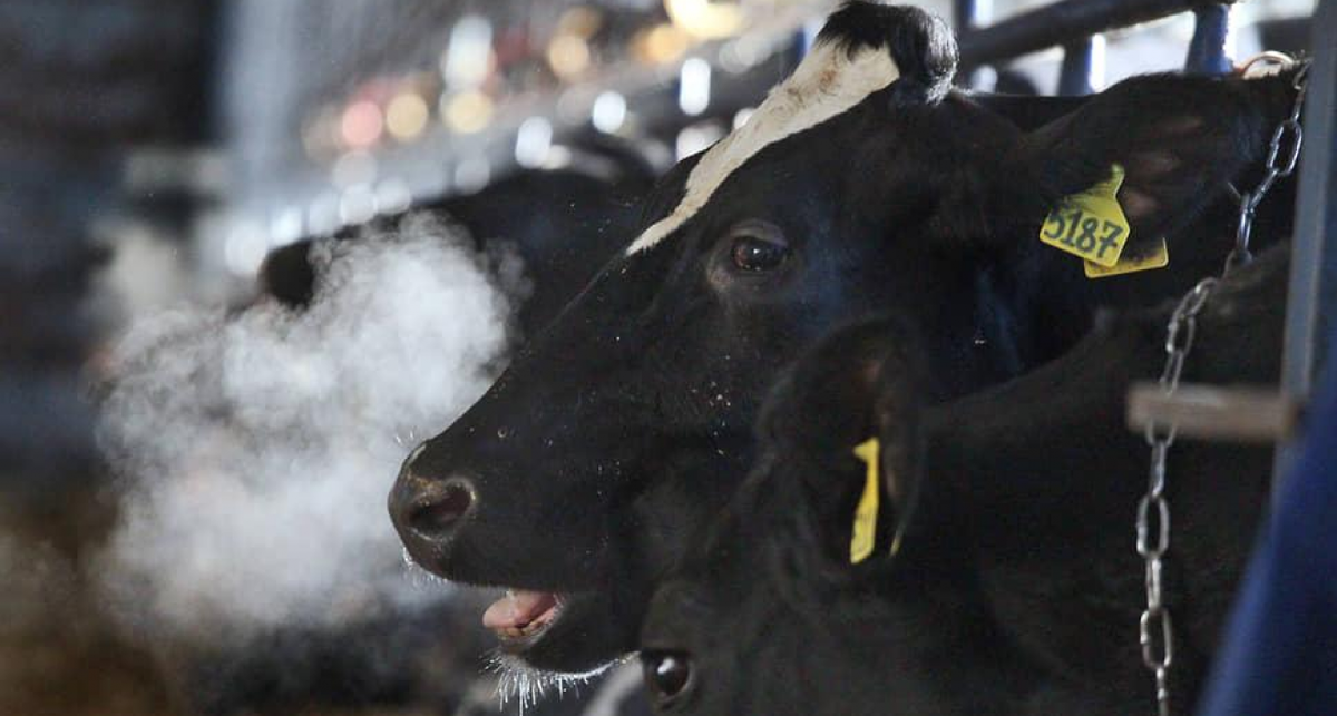    Роман Яровицын, Коммерсантъ с сайта iv.kommersant.ru