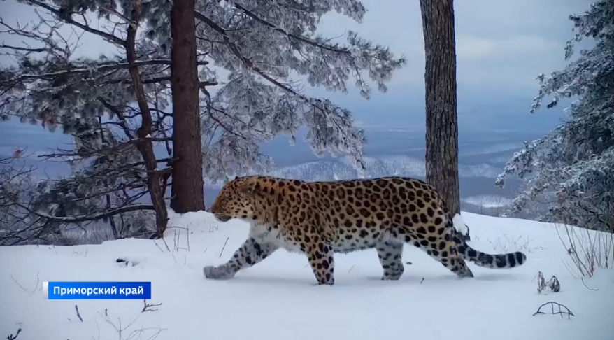    Источник фото: