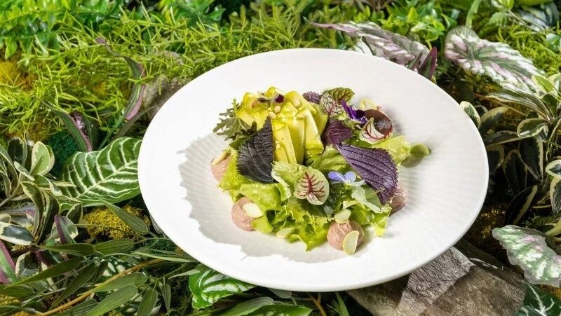 Зеленый салат с печенью трески и брокколи: легкий и полезный рецепт от сахалинского шеф-повара