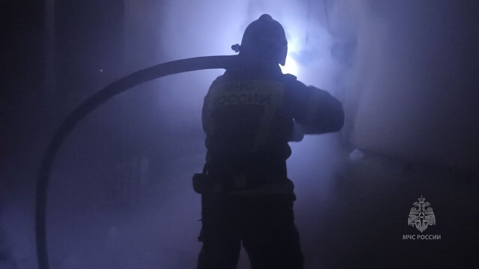    Фото: МЧС