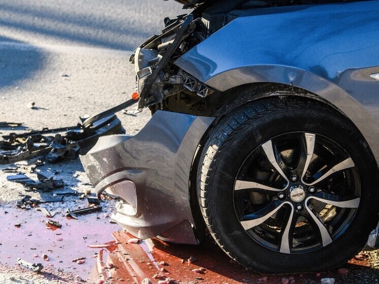     Фото: Ilya Moskovets/URA.RU/Global Look Press