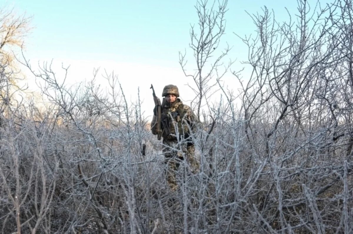    Гора мерзлых тел выросла в Красном Лимане: главная новость СВО 5 февраля
