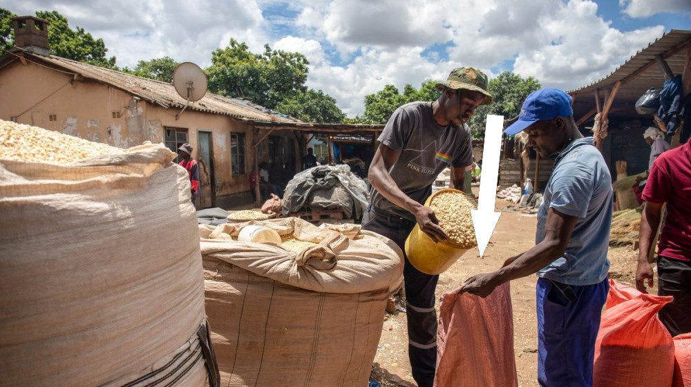    Настоящая бедность живёт там где деньги — роскошь
