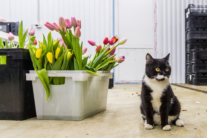    Фото Андрея Заржецкого