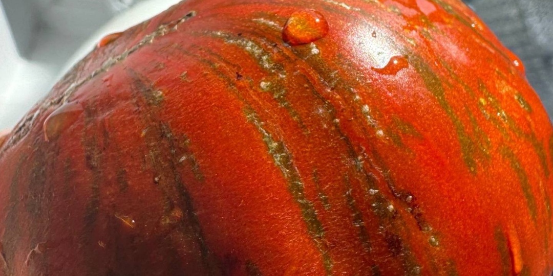 Сорт и Гибрид:что посеешь, то и пожнёшь.