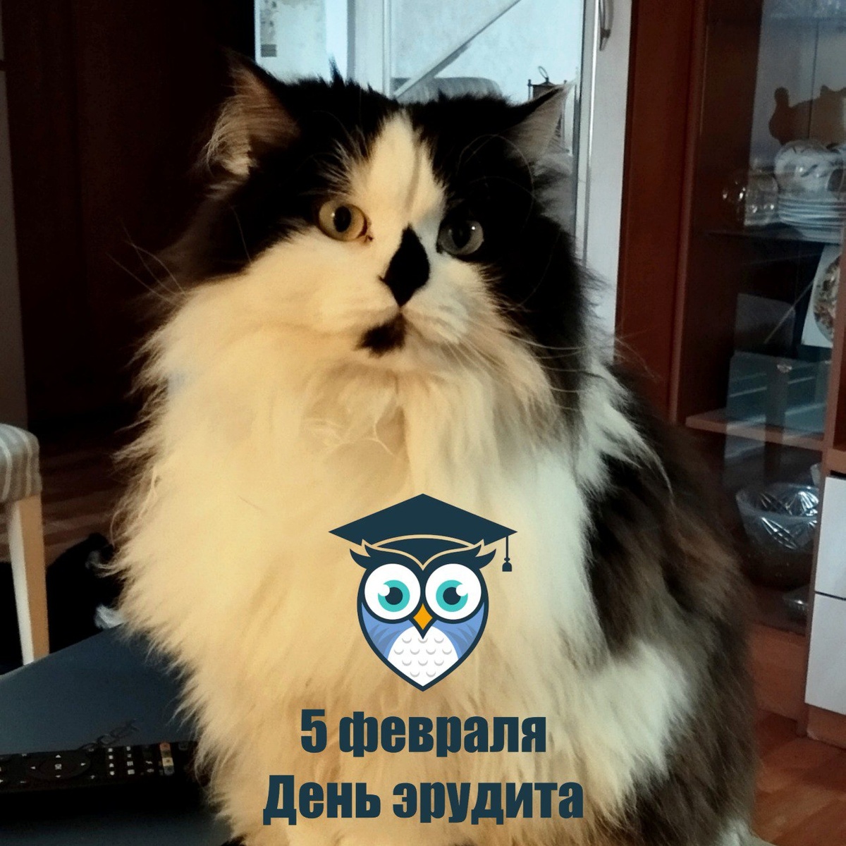 🐾 Комментарий Котейки По Имени Роршах: