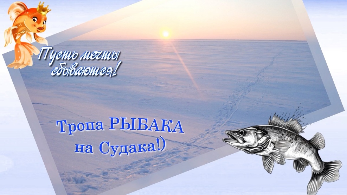 Коллаж Тропа рыбака Фото из личного фотоархива