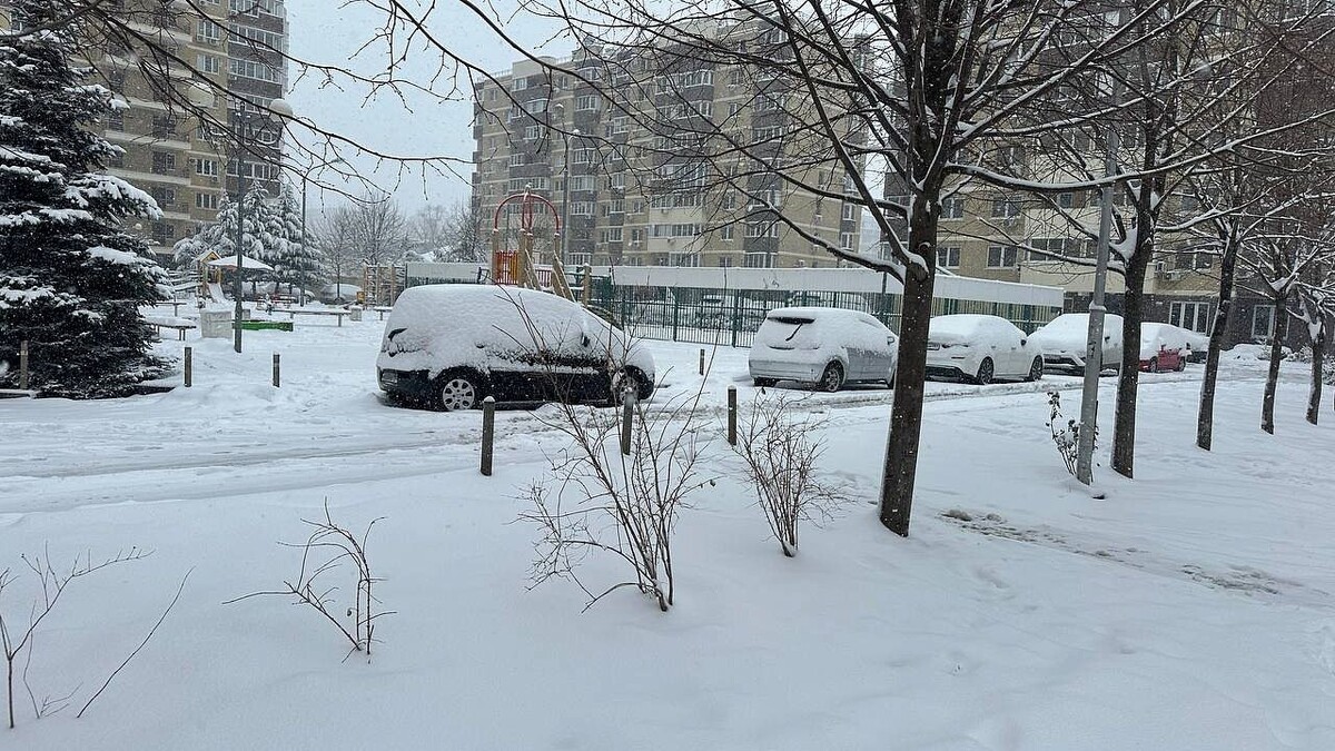    Фото: телеканал «Краснодар»