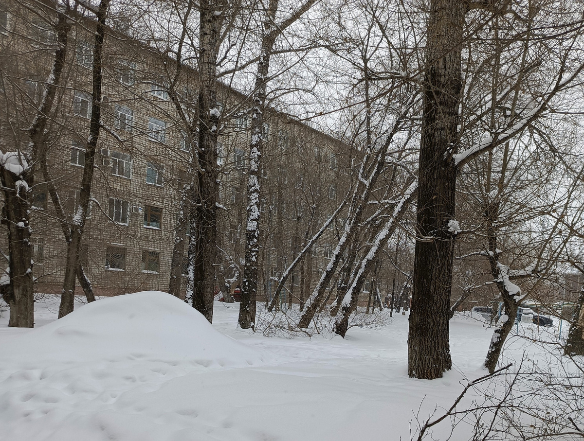 В этом здании я проводила свой рабочий день