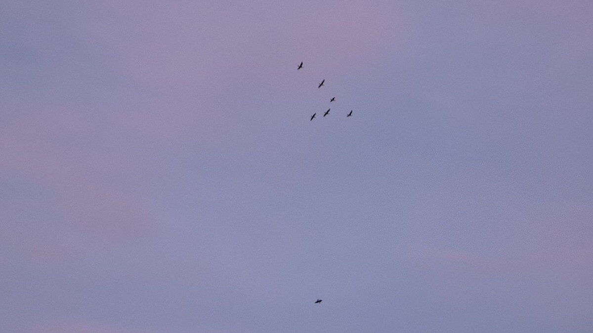    Фото: телеканал «Краснодар»