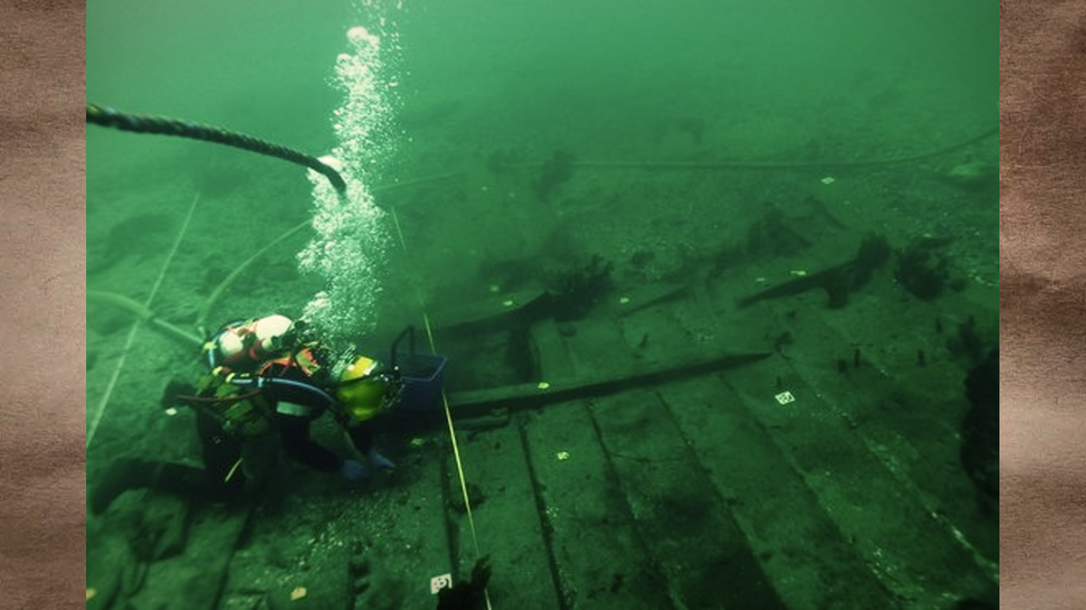 Фото с раскопок. Ничего, правда, особенно не видно. Хотя в том и суть — вы посмотрите только на соотношение досок и дайвера!