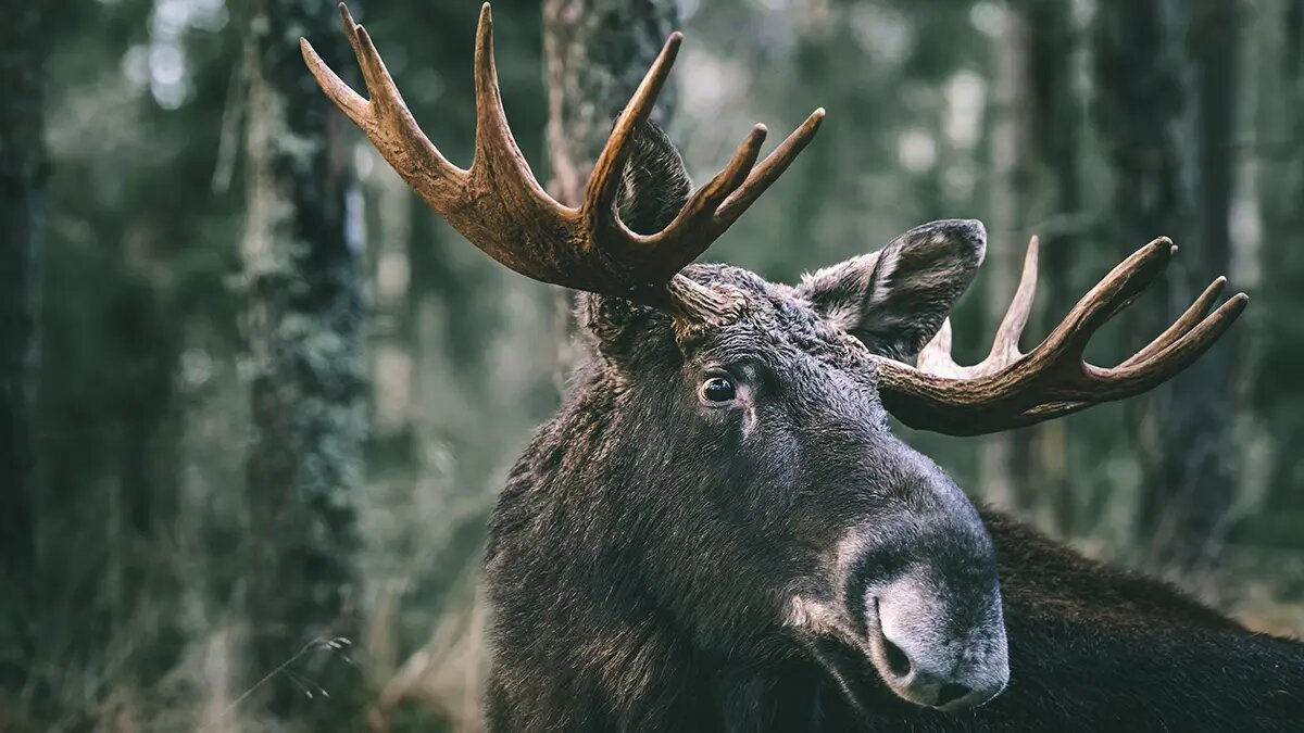    Фото: vm.ru Лидия Измайлова