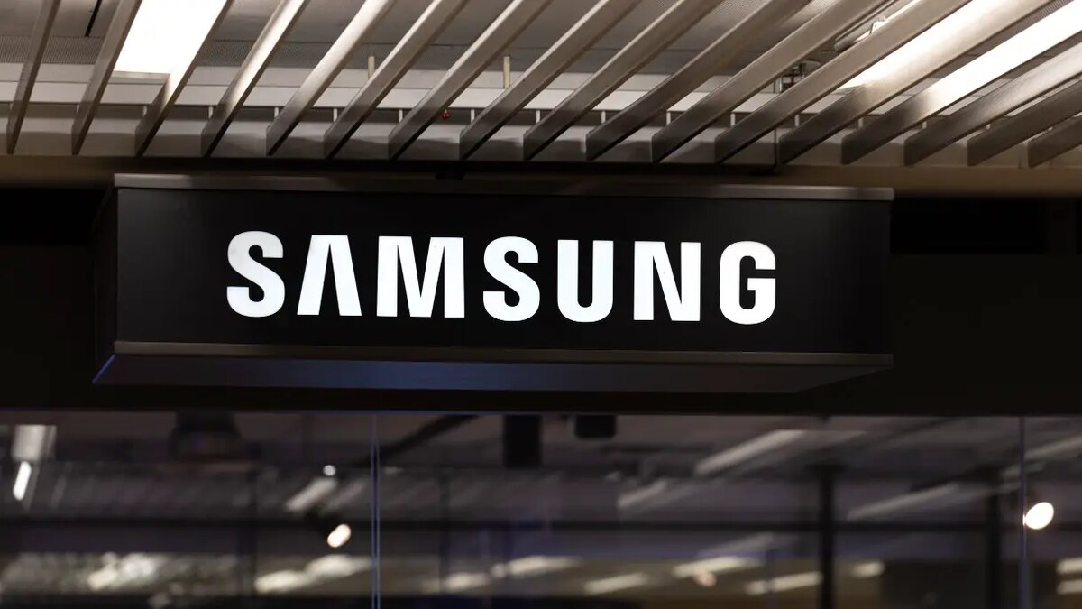    Фото: vm.ru Владимир Новиков